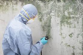 Best Mold Odor Removal Services  in Snowflake, AZ